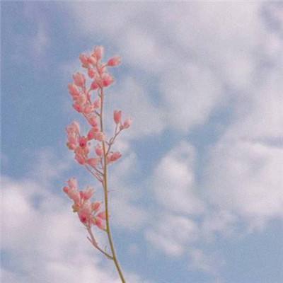 欢乐斗牛腾讯手机app下载