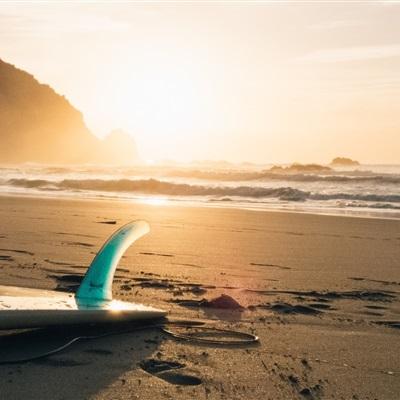 新manbetx-万博全站